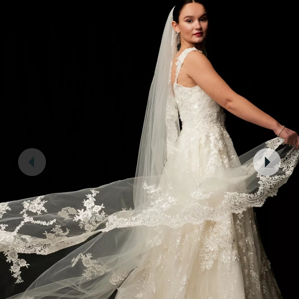 Elegant Lace Wedding Dress with Veil